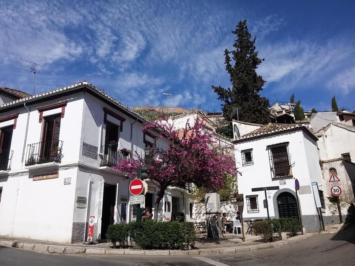 Charming Albaicin Patio Flat Free Onsite Parking Apartment