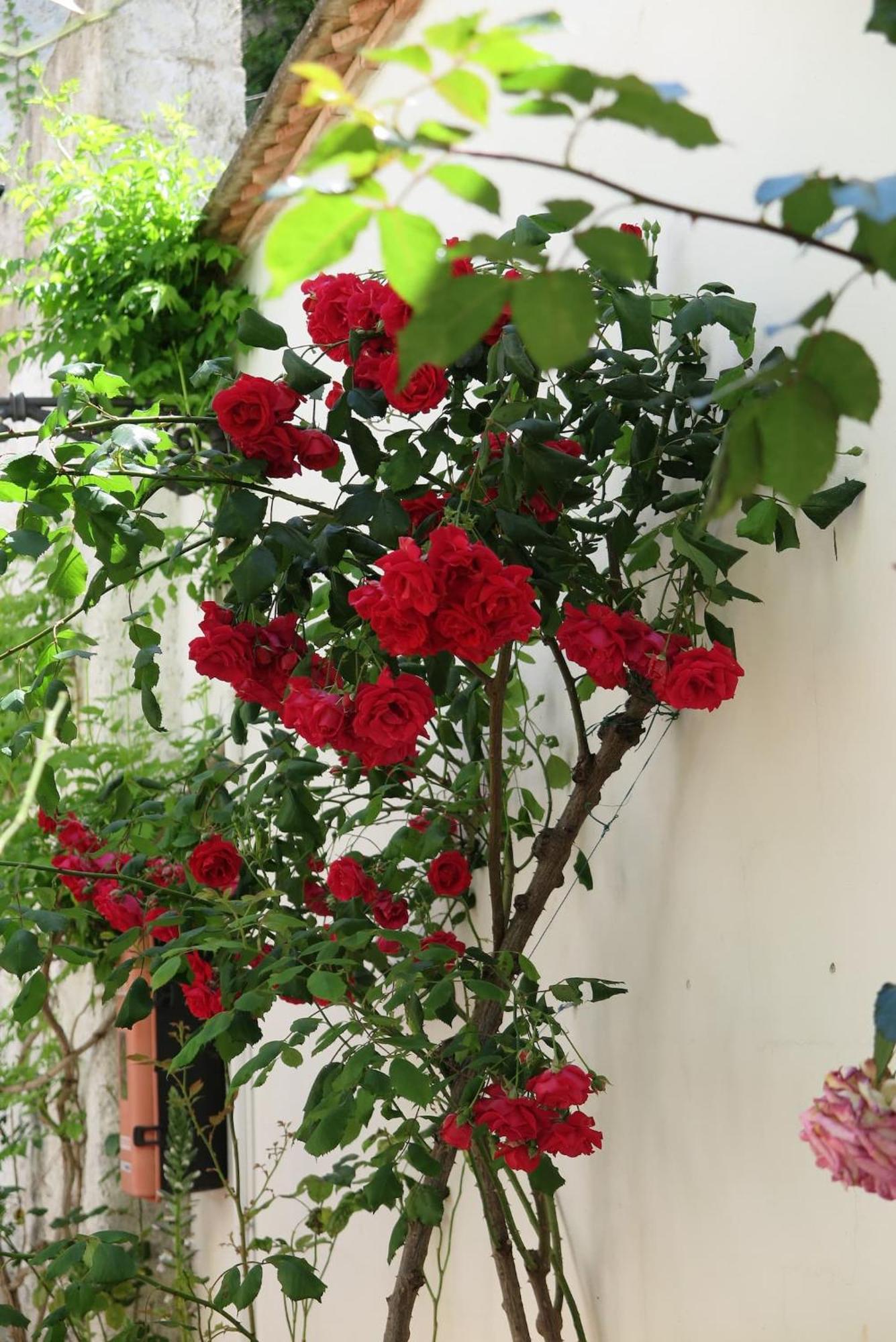 Apartment Charming Albaicin Patio Flat Free Onsite Parking Granada