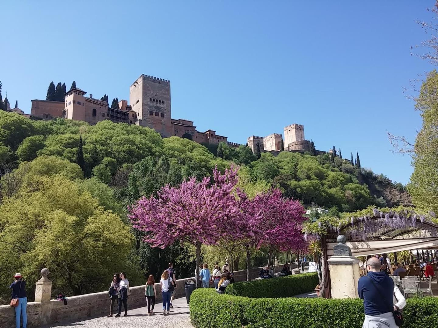 Charming Albaicin Patio Flat Free Onsite Parking Granada